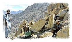 La mayor parte de los conflictos armados que se han producido en las décadas de 1990 y de 2000 han tenido lugar en el interior de las fronteras de un mismo Estado y han enfrentado a gobiernos con grupos armados de carácter no estatal, la mayoría de ellos de naturaleza insurgente. Por esa razón, y también por la importancia que ha adquirido en escenarios como Irak y Afganistán, la insurgencia se ha convertido en un término frecuente en los estudios de seguridad e incluso en la literatura no especializada.