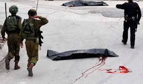 Halevy citó en particular la conducta de los soldados de las FDI cuando se refiere a la difusión del miedo y el extremismo judío, citando el incidente de marzo con un oficial en Hebrón, que mataron a un atacante palestino moderado.