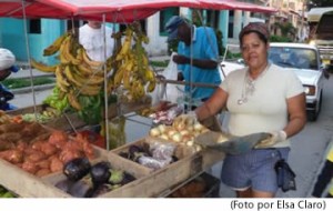 QPM.ORG: Conforme existe la verdad innegable de que en la Provincia Ciudad de La habana deambulan por sus calles miles de pequeñas carretillas ofreciendo productos agrícolas y en sus mercados privados se venden libremente productos carnicos, también es cierto que en no pocas ocasiones estos no están al alcance del bolsillo del hombre de “a pie”. Si bien se trata de la ley de mercados - oferta y demanda- también lo es que entre sus causas principales esta la eficiente burocracia estatal, que se resiste fieramente a cualquier cambio que afecte el status quo -adquirido y mantenido durante los años de gerencia política del Comandante en Jefe Fidel Castro- conspirando para sabotear la producción, almacenamiento y distribución, hasta la proliferación de los llamados paladares, los que al no existir una red mayorista para adquirir sus productos acuden a abastecerse al sector privado, ocasionando escasez y las alzas de precio. QPM.ORG: Conforme existe la verdad innegable de que en la Provincia Ciudad de La habana deambulan por sus calles miles de pequeñas carretillas ofreciendo productos agrícolas y en sus mercados privados se venden libremente productos carnicos, también es cierto que en no pocas ocasiones estos no están al alcance del bolsillo del hombre de “a pie”. Si bien se trata de la ley de mercados - oferta y demanda- también lo es que entre sus causas principales esta la eficiente burocracia estatal, que se resiste fieramente a cualquier cambio que afecte el status quo -adquirido y mantenido durante los años de gerencia política del Comandante en Jefe Fidel Castro- conspirando para sabotear la producción, almacenamiento y distribución, hasta la proliferación de los llamados paladares, los que al no existir una red mayorista para adquirir sus productos acuden a abastecerse al sector privado, ocasionando escasez y las alzas de precio.